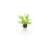 biOrb Caulerpe verte