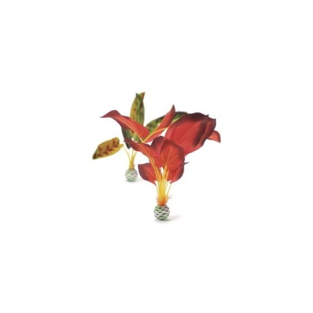 biOrb Set de grandes plantes vertes et rouges