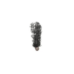 biOrb Corail moyen noir