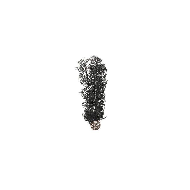 biOrb Corail moyen noir