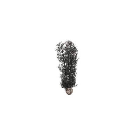 biOrb Corail moyen noir