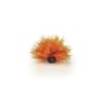 biOrb Lys de mer flamme