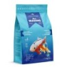 Nourriture poisson All Seasons S 5KG