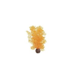 biOrb Petit corail orange
