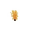 biOrb Petit corail orange